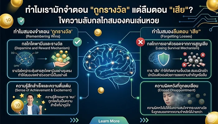 ทำไมเรามักจำตอน "ถูกรางวัล" แต่ลืมตอน "เสีย"? ไขความลับกลไกสมองคนเล่นหวย